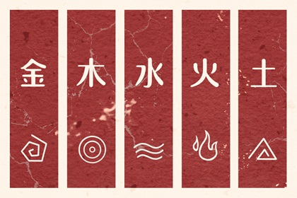 男双胞胎取名|起名社免费起名|名人五行起名|测八字起名字|男孩叶取名字