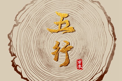 男双胞胎取名|起名社免费起名|名人五行起名|测八字起名字|男孩叶取名字