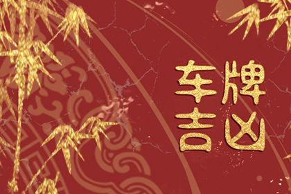 如何读本页结果