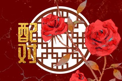 命宫排盘 命盘详细解释 新浪命盘查询 五行生辰八字命盘 十二宫算命