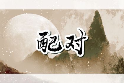 十二生肖婚配概说