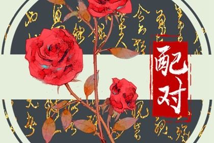 合婚姻测算,批八字算命婚姻,算卦婚姻算命