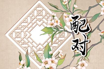 血型配对(民俗参考)