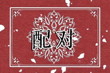 三合六合六冲在生活中的投射