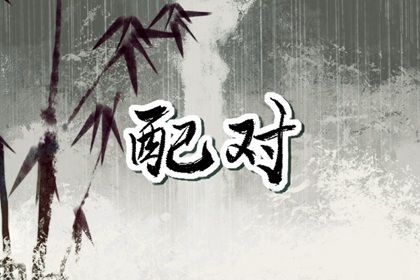 理想对象类型
