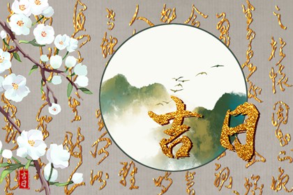 全家生肖都要看吗
