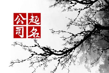 取名字推荐|大数据起名|五格取名|小娃起名大全