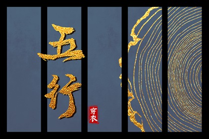 缺什么就要补什么吗