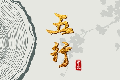 数字化五行参考用法